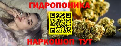ГАЛЛЮЦИНОГЕННЫЕ ГРИБЫ Канаш