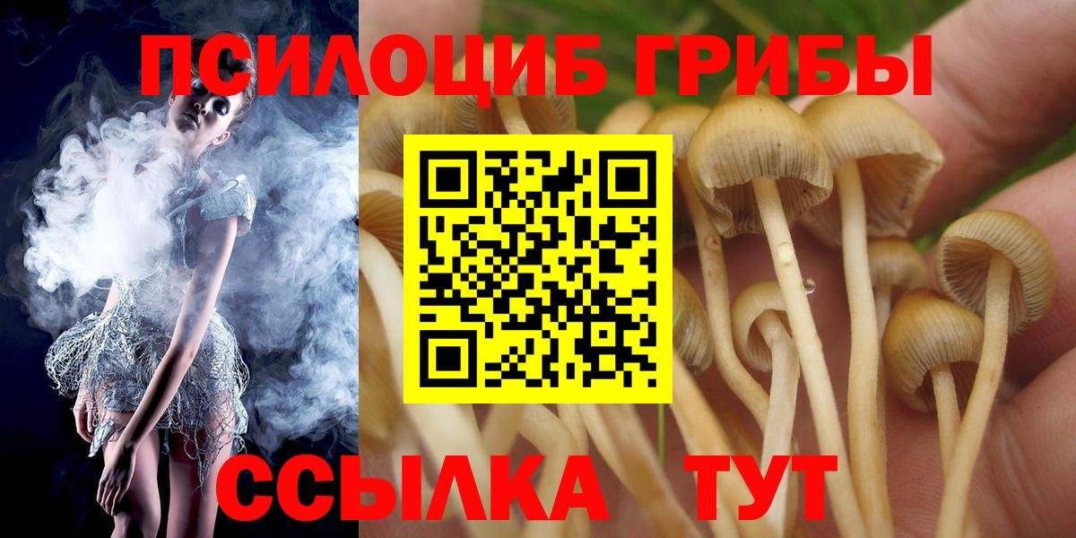Лесной  Псилоцибиновые грибы Cubensis  Вход с VPN  где найти наркотики  Псилоцибиновые грибы GOLDEN TEACHER 