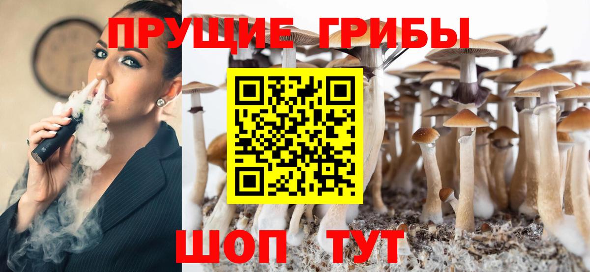 Галлюциногенные грибы Cubensis Лесной